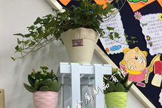 花架、不锈钢花架、现代风格花架、办公室花架、不锈钢花架厂家